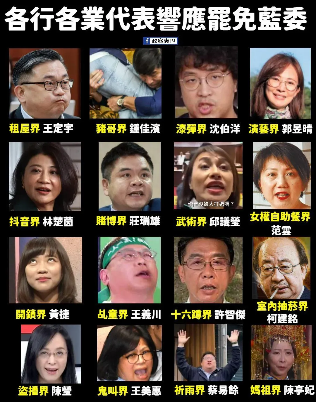 臉書粉專「政客爽」整理出16位響應大罷免的「各行各業代表綠委」。（圖／政客爽臉書）