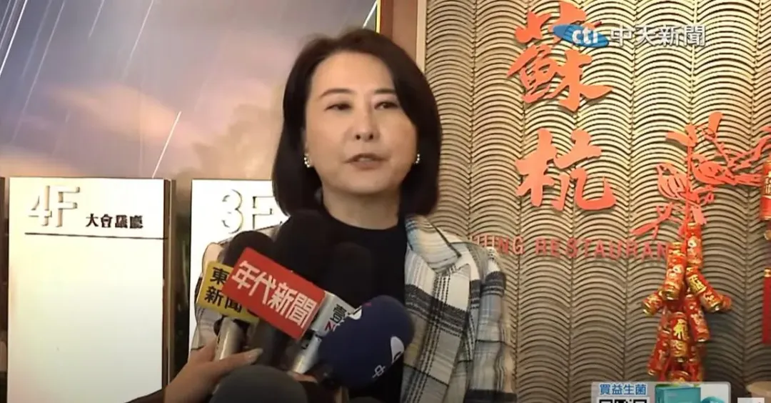 立委王鴻薇。(圖/中天新聞)