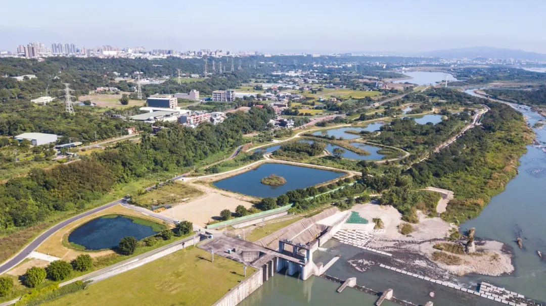瑞興濕地。（圖／翻攝桃園市水務局）