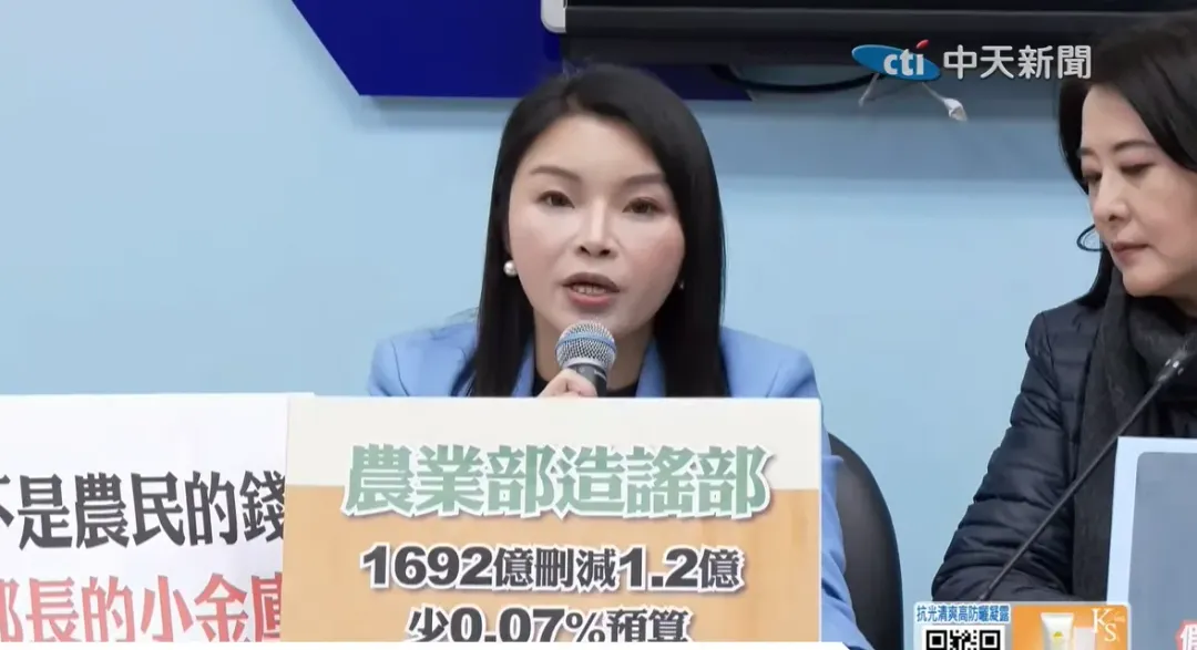 國民黨立委張嘉郡。（圖／中天新聞）