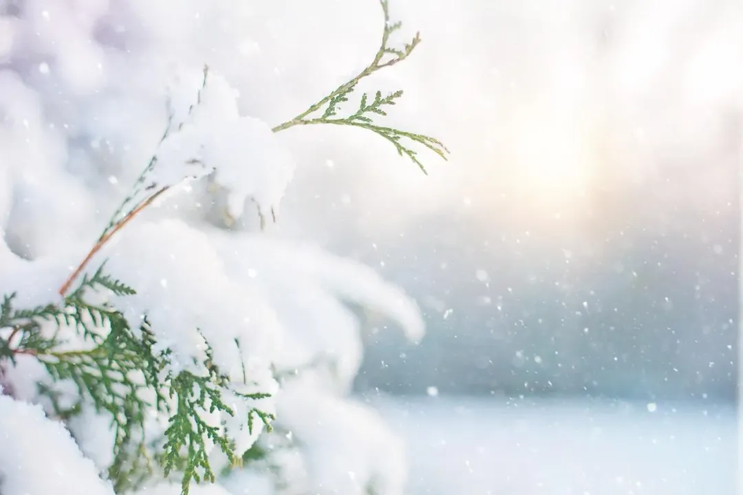 今天節氣進入大寒。（示意圖／Pixabay）