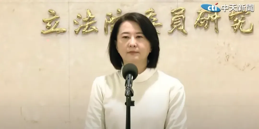 王鴻薇資料照。(圖/中天新聞)