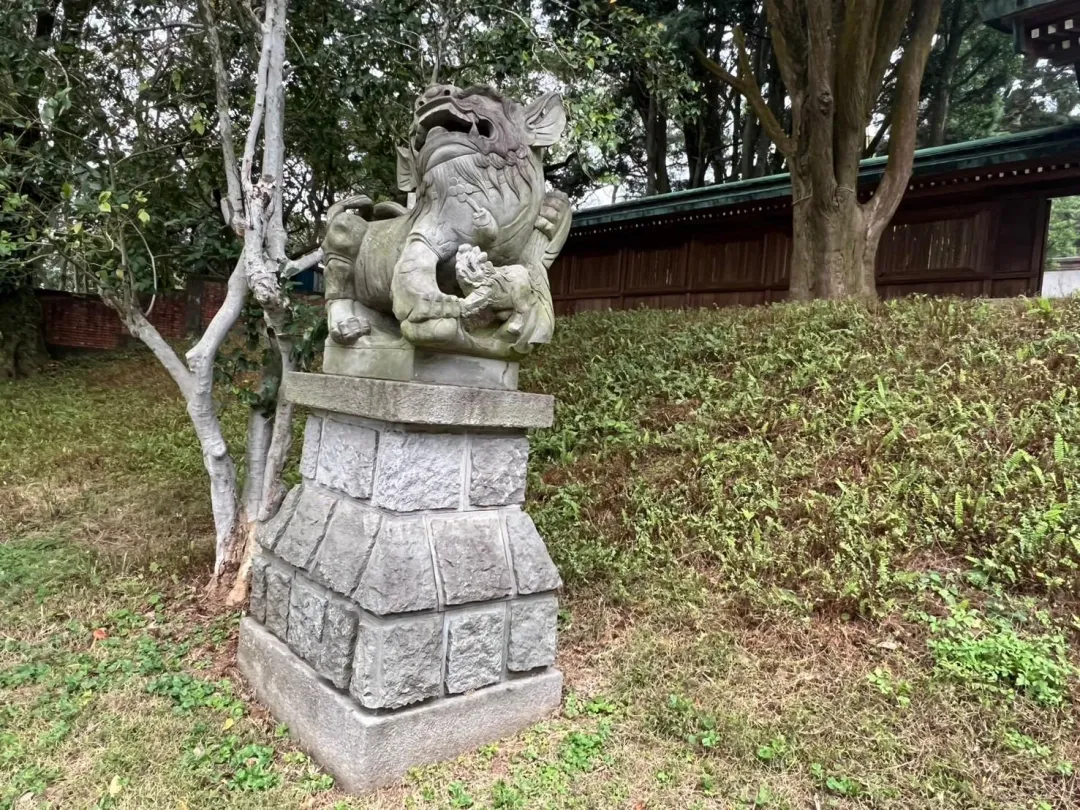 桃園忠烈祠暨神社文化園區，神社門口的一對高麗犬石像，其實原名叫唐獅子。（圖／中天倪鴻祥攝）