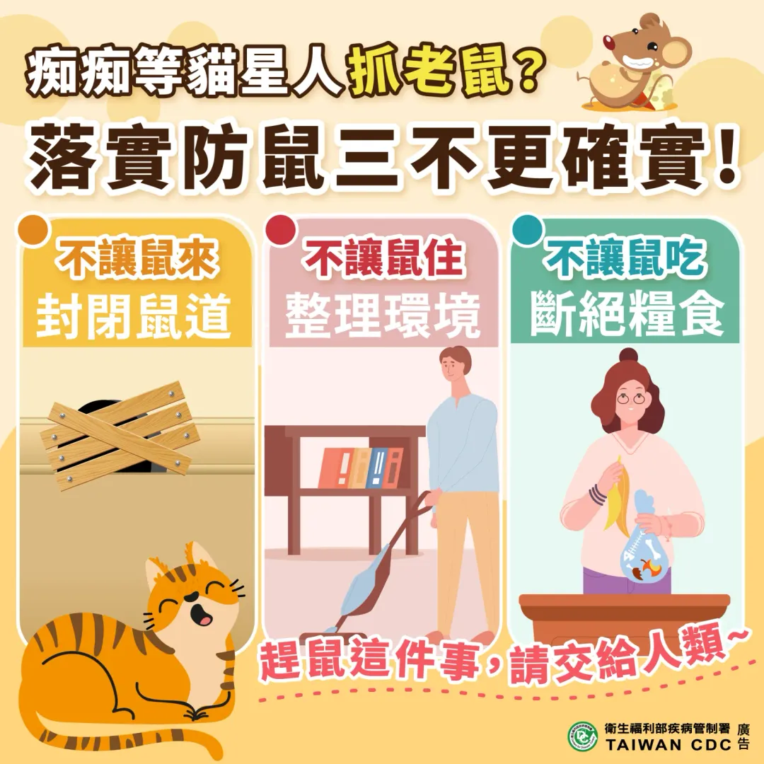台北市衛生局呼籲民眾落實居家防鼠3不政策。（圖／台北市衛生局提供）