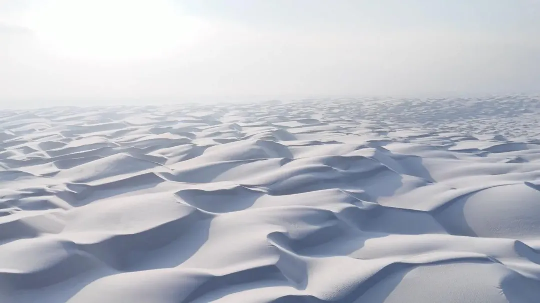 塔克拉瑪干沙漠變「雪海」。(圖/新華社)