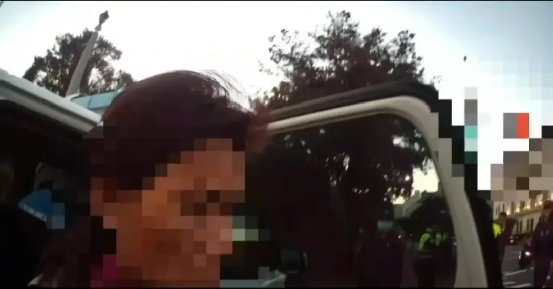 林姓女子被警方逮捕依法送辦。（圖／翻攝畫面）