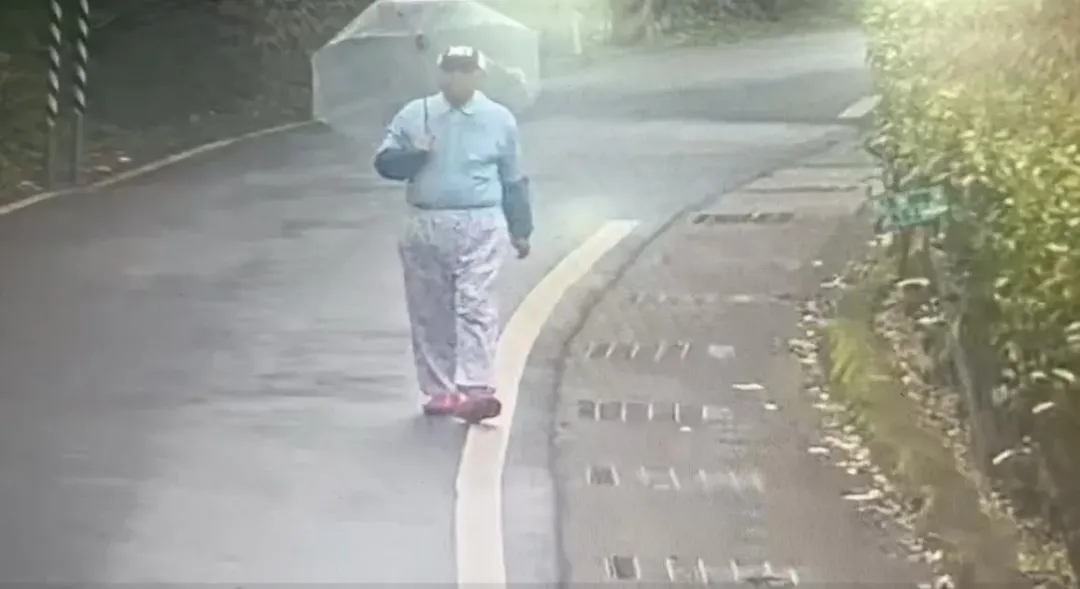 林葉亭的父親最後身影，突然轉頭疑似找人講話。（圖／翻攝畫面）
