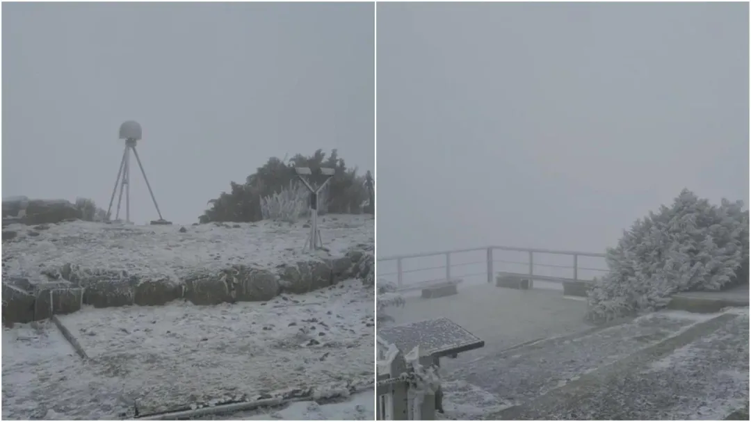 玉山北峰今(27日)上午9時20分開始下雪。(圖/翻攝畫面,下同)