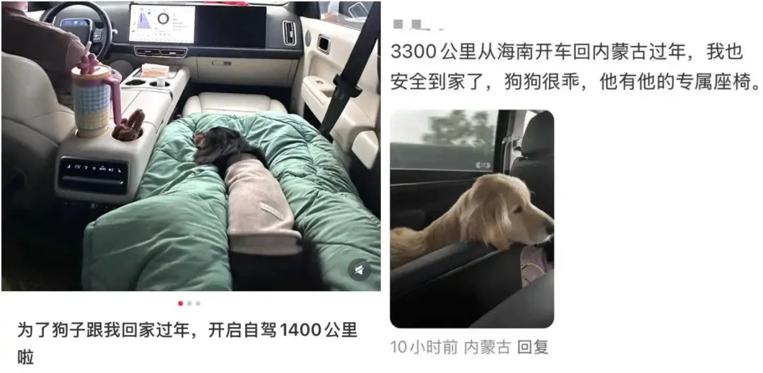 許多大陸網友分享載毛小孩返鄉過程。（圖／翻攝小紅書）