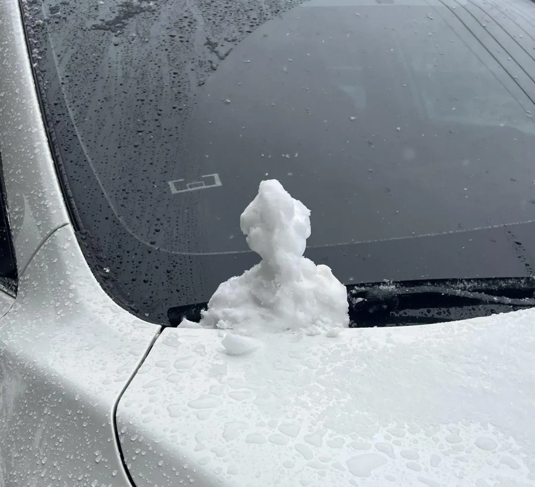 有民眾興致一起，在車上堆了小雪人。（圖／武陵農場提供）