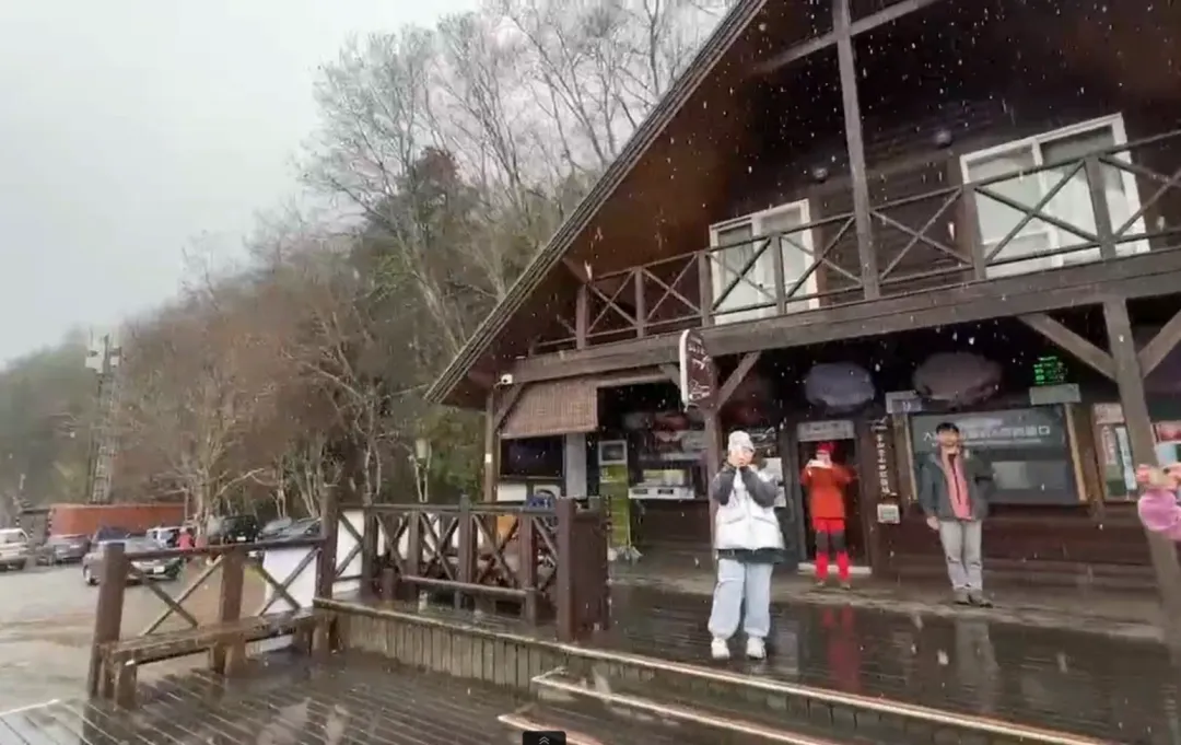 寒流來襲，台中市武陵農場27日白天下起冰霰加雪，遊客紛紛拿手機拍照紀念。（圖／武陵農場提供）