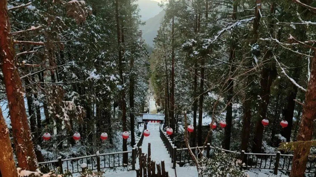 太平山雪景。（圖／ 林保署宜蘭分署提供）