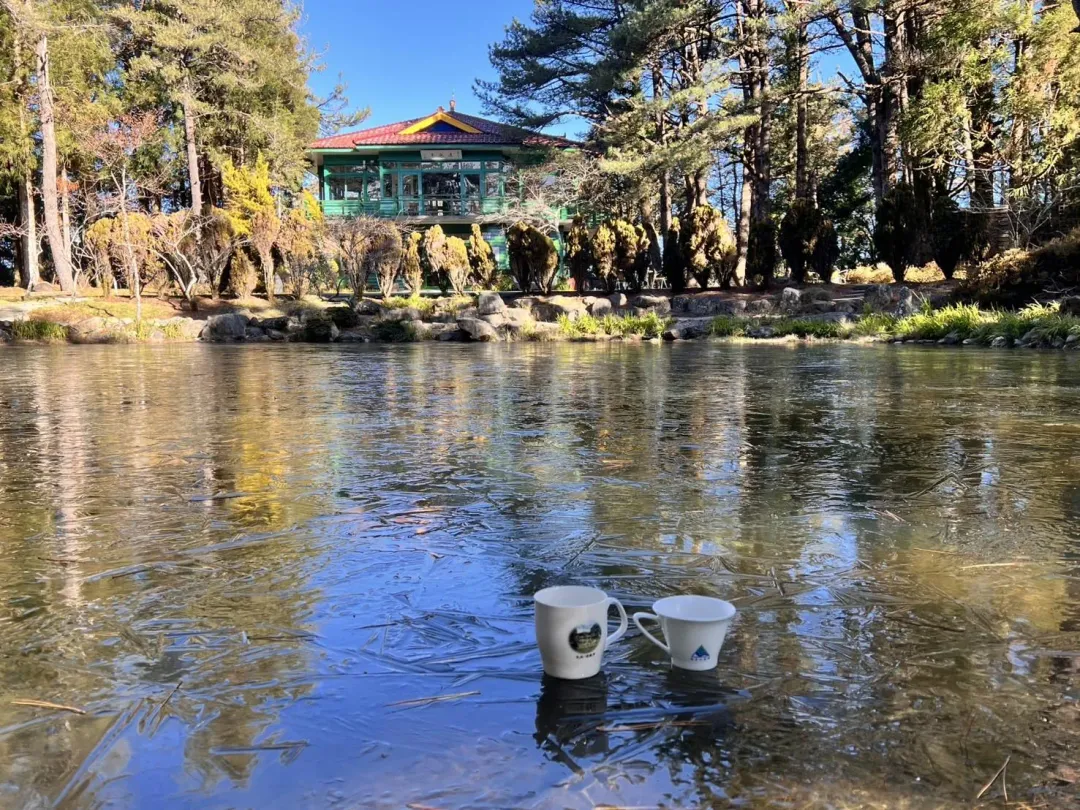 福壽山農場天池結冰，來杯茶很chill。（圖/福壽山農場提供）