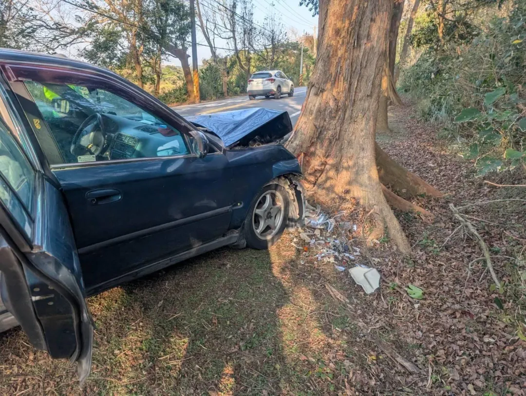 轎車突自撞路樹，駕駛傷重不治。（圖／翻攝畫面）