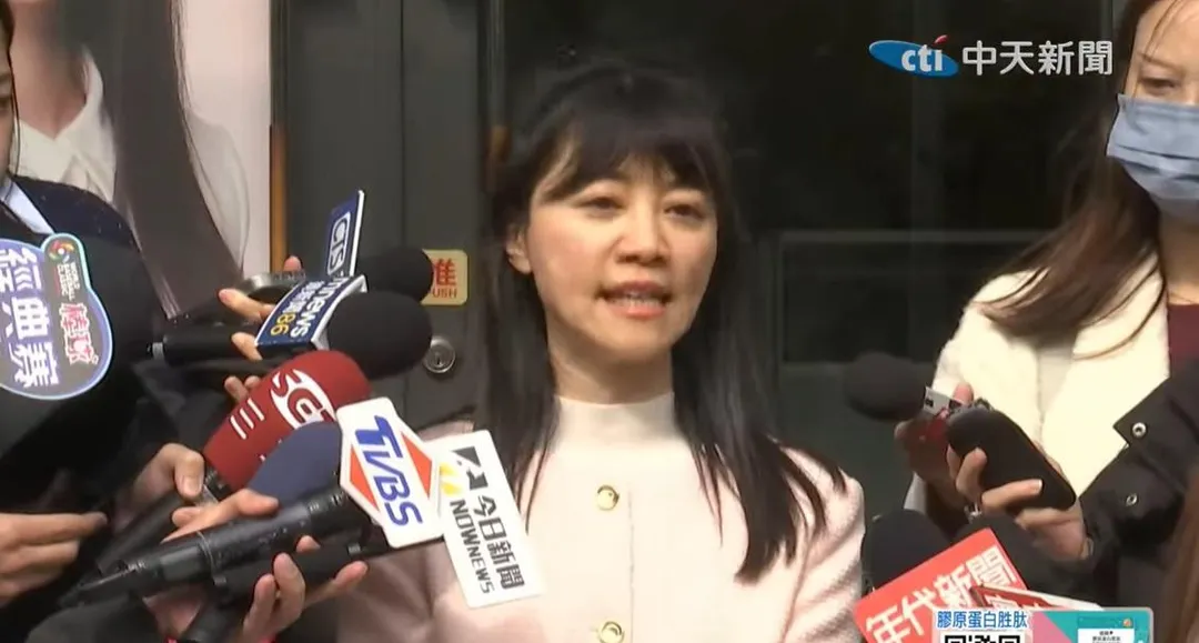 高嘉瑜。(圖/中天新聞)