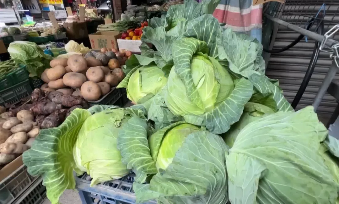 近日，又有網友在社交平台Threads上掀起話題，「台灣是一個有全世界最好吃高麗菜的地方」，掀起網友超熱烈迴響。（圖／中天新聞）