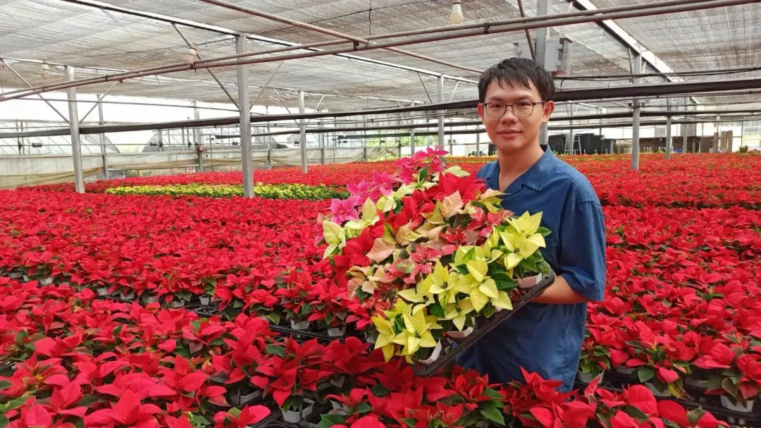 吳承燁榮獲第7屆百大青農，利用科技種花，提升生產效率。（圖／桃園市政府農業局提供）
