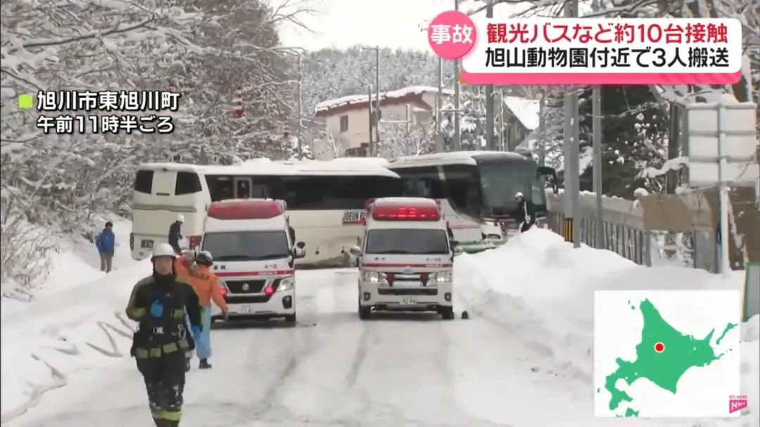 日本北海道旭川市旭山動物園附近15日白天發生9車碰撞事故，造成4人受傷。（圖／NTV）