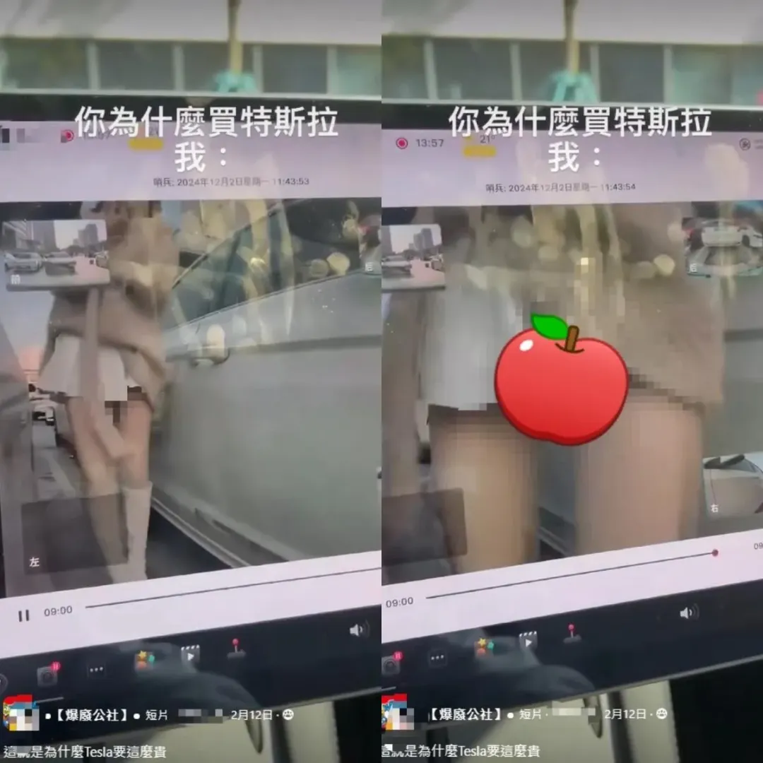 網友曬出特斯拉哨兵模式畫面。(圖/爆廢公社)
