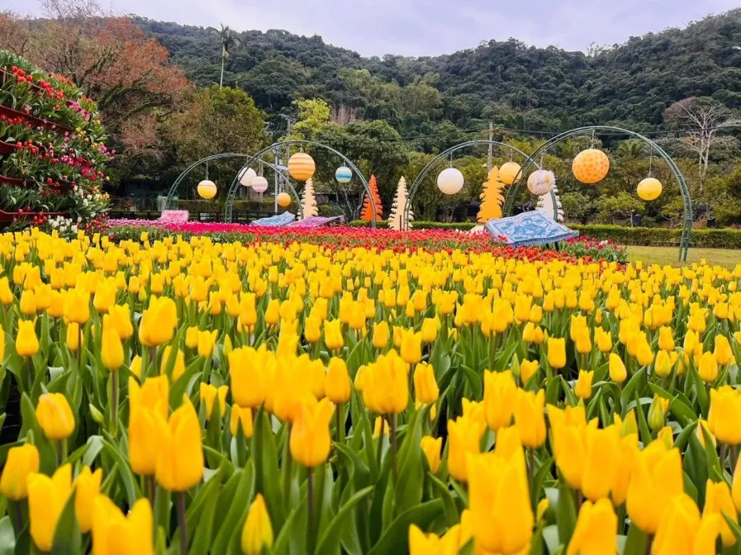 感受魔毯及鬱金香的「香戀土耳其」展區。(圖/台北市園藝管理所提供)