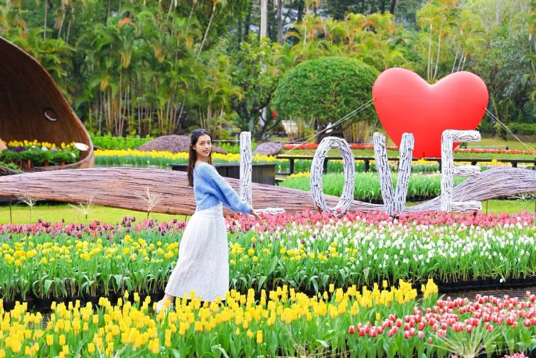 拍張「LOVE愛心」合照的網美照吧!(圖/台北市園藝管理所提供)