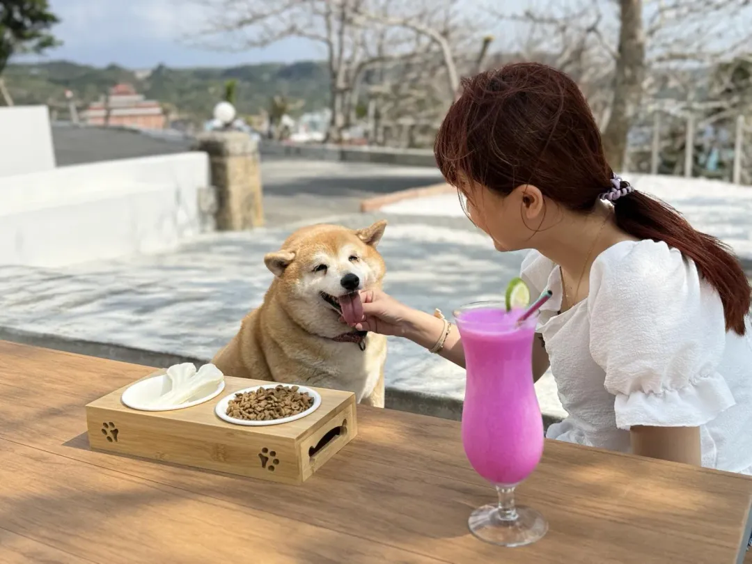 「船帆石No.1000」配合館內寵物友善的政策,也歡迎帶著毛小孩一起在咖啡廳的戶外區,享受墾丁的碧海藍天。(圖/業者提供)