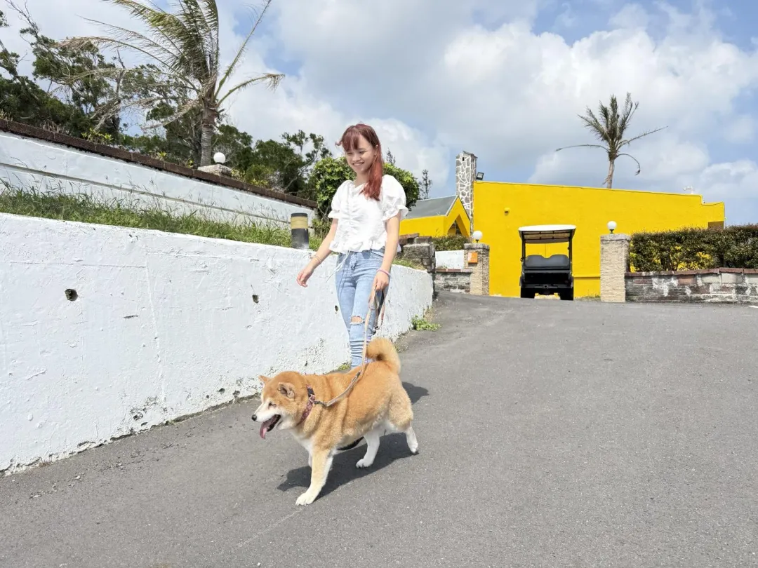 福容墾丁的Villa區,就位在飯店側邊,居高臨下,能將船帆石美景盡收眼,更歡迎帶萌寵一起入住。(圖/業者提供)