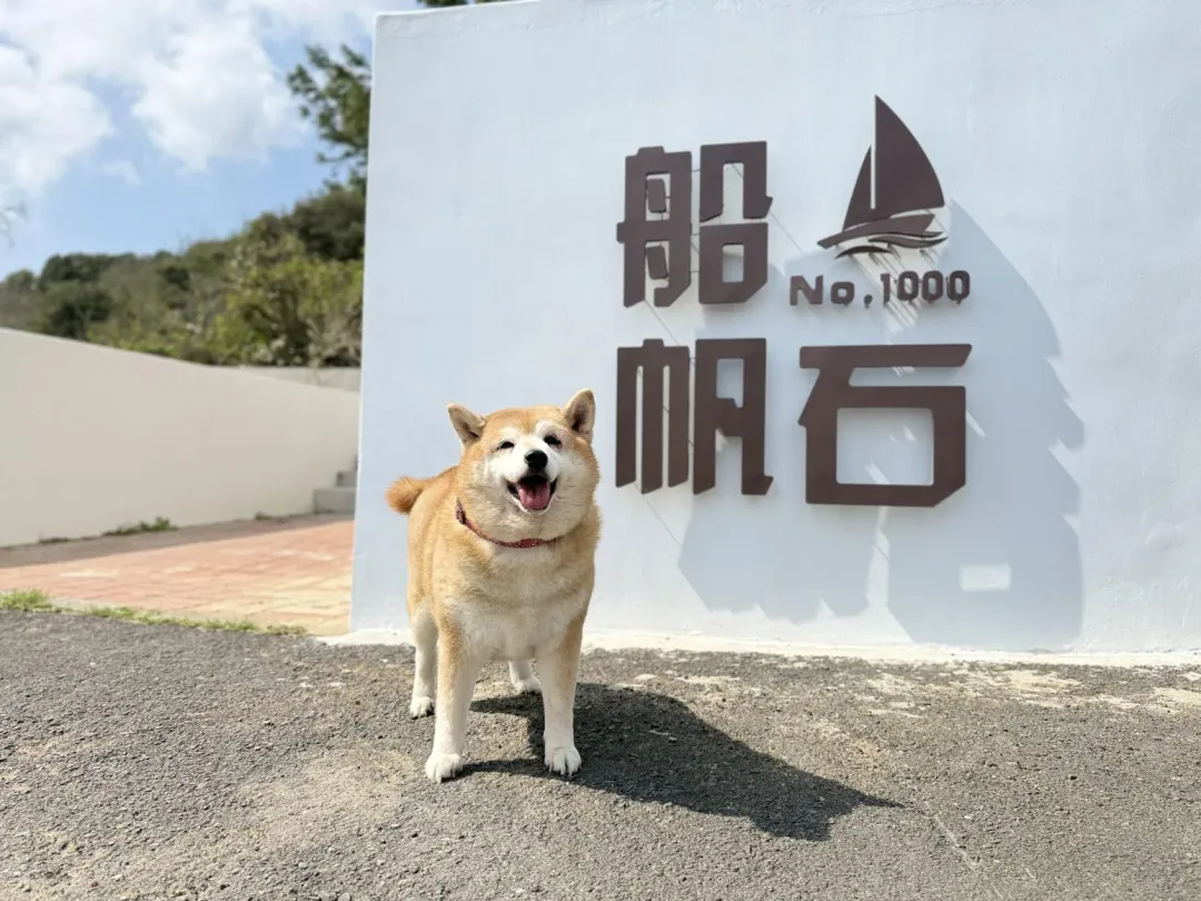 「船帆石No.1000」亦是寵物友善餐廳。(圖/業者提供)