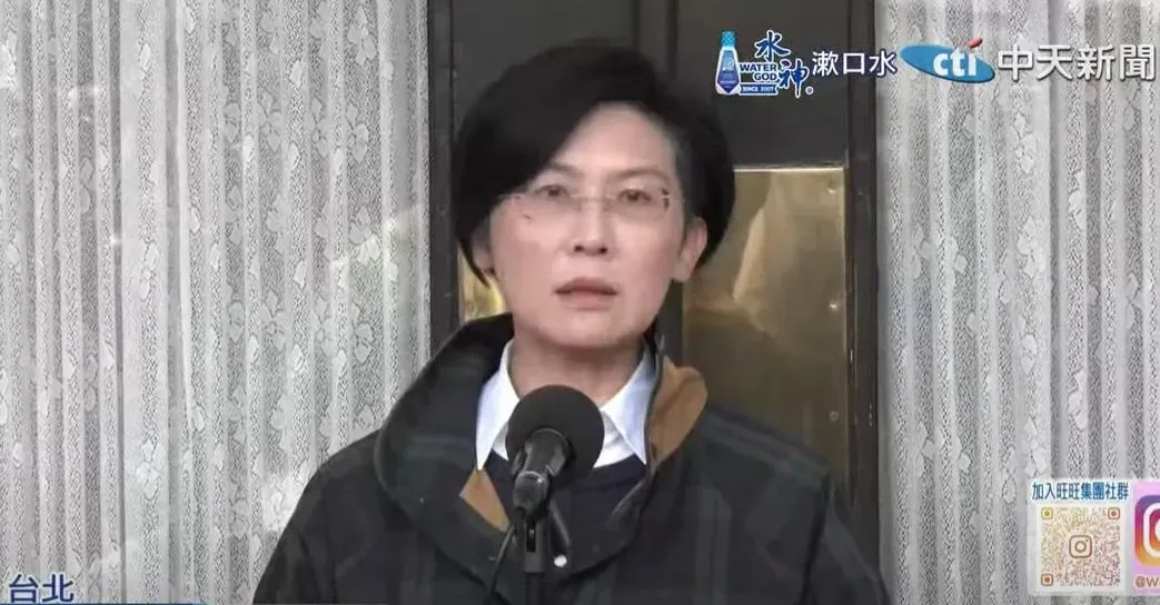 林岱樺。(圖/中天新聞)