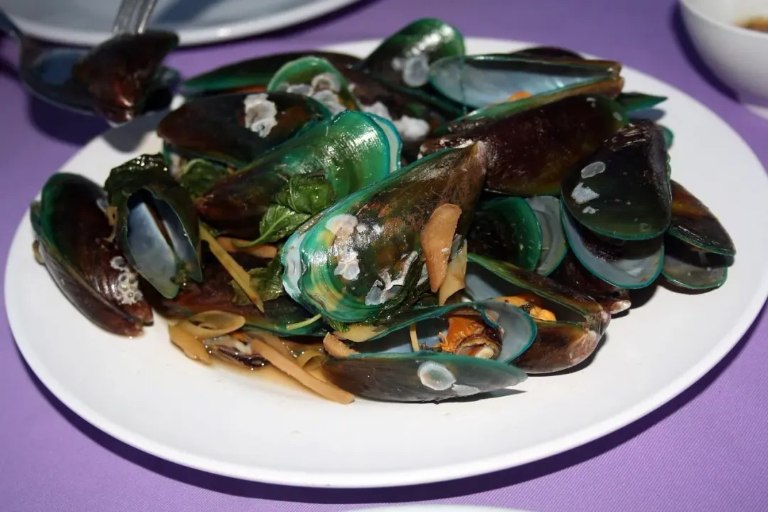 研究指出，貝類（如牡蠣、蛤蜊、淡菜） 可能是塑膠微粒的高風險來源。（示意圖／翻攝自pixabay）