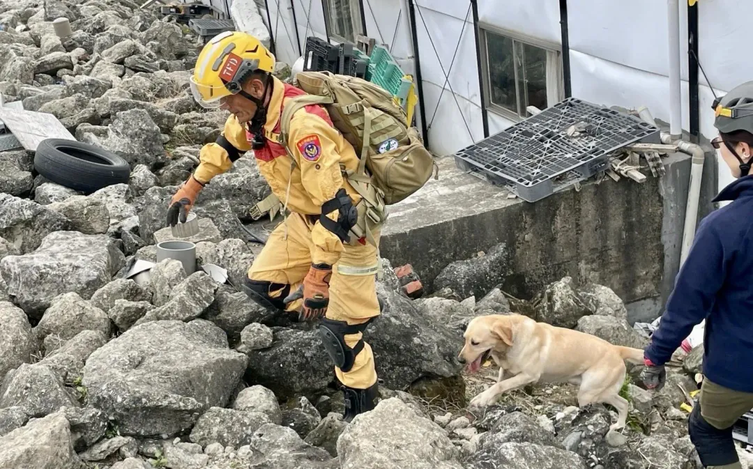 台北市消防局搜救犬隊全數通過各級認證。（圖／翻攝畫面）