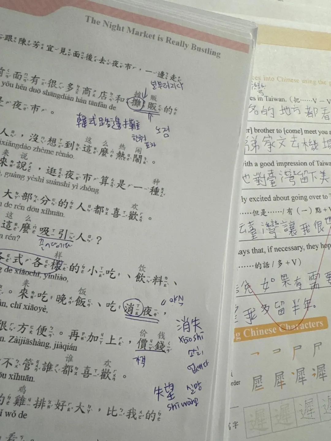 李多慧勤學中文。(圖/翻攝自李多慧Threads)