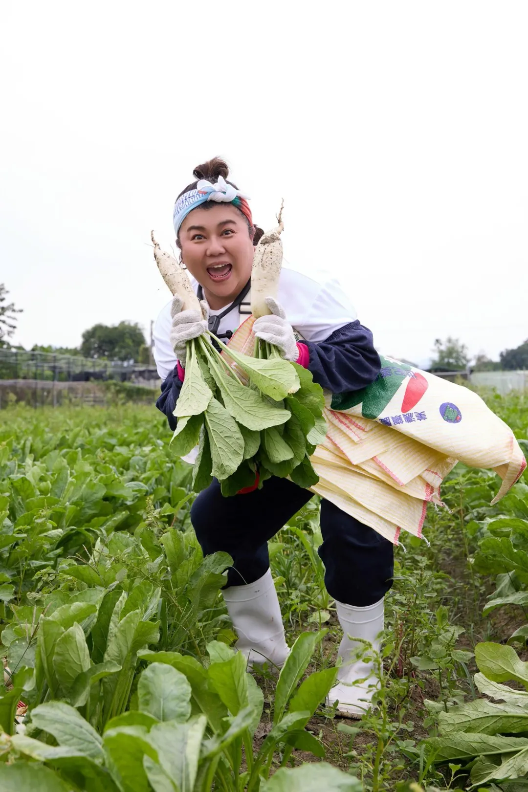 林美秀下田採收白玉蘿蔔。（圖／三立 提供）