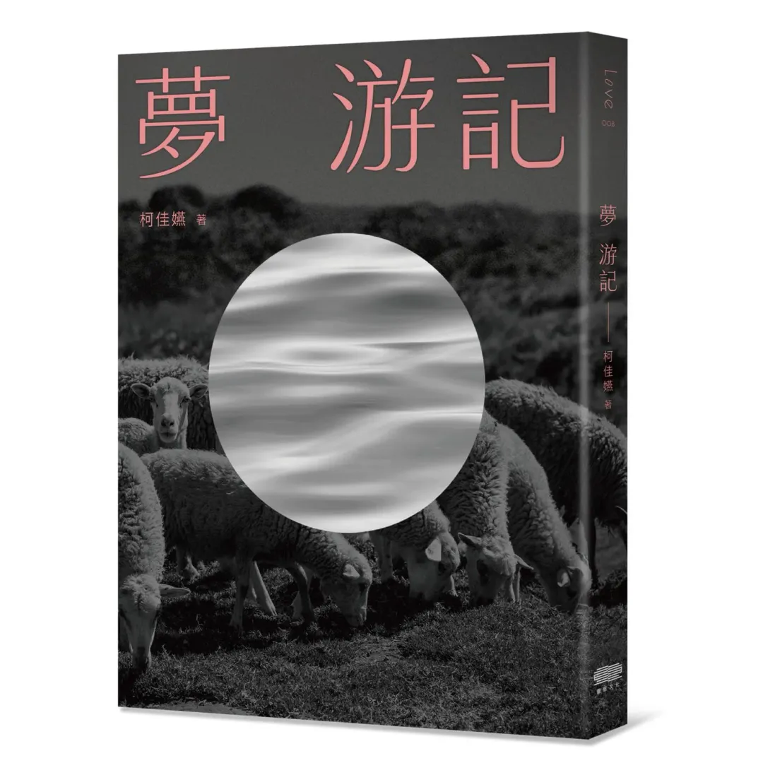 柯佳嬿推出小說《夢 游記》。（圖／重版文化提供）