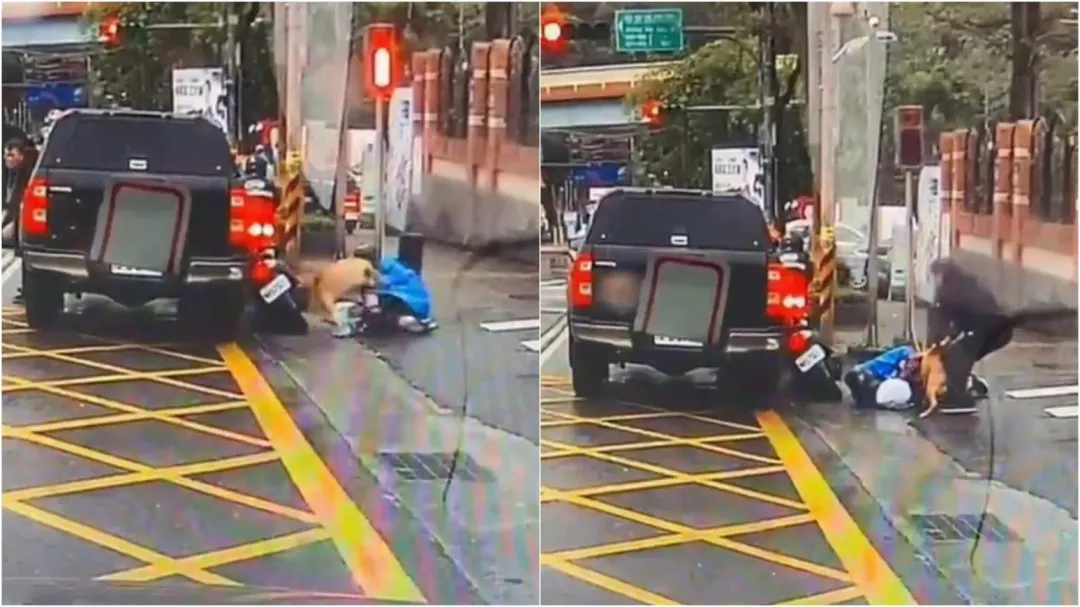 比特犬咬住穿著藍色雨衣的騎士,飼主趕緊出面阻止。(圖/社會事新聞影音)