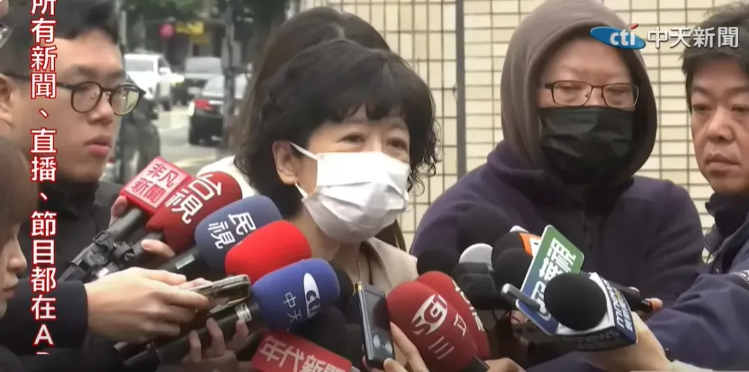 陳佩琪。(圖/中天新聞)