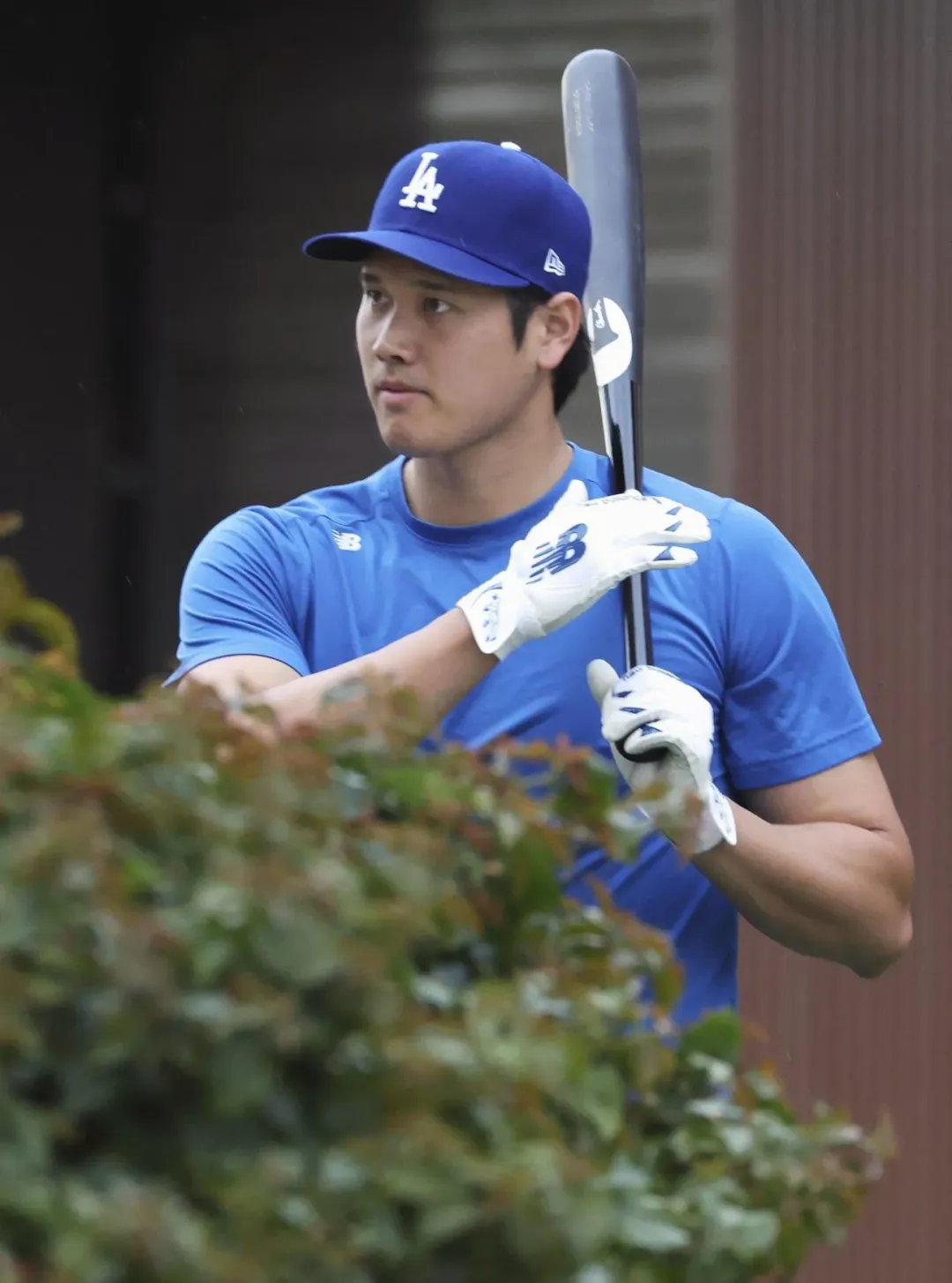 大谷今天沒比賽。（圖／翻攝自社群平台X）