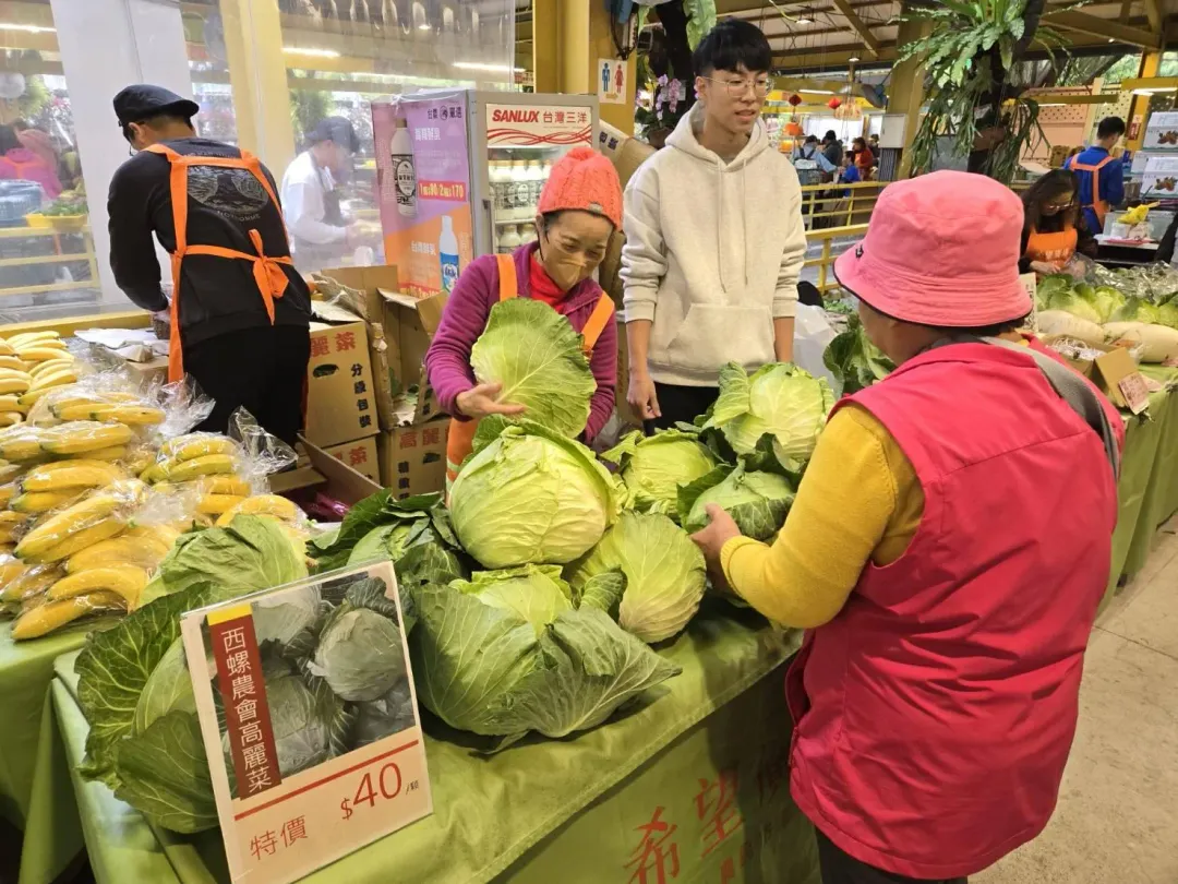 本周末希望廣場販售雲林西螺的高麗菜。（圖／新北市農業局提供）
