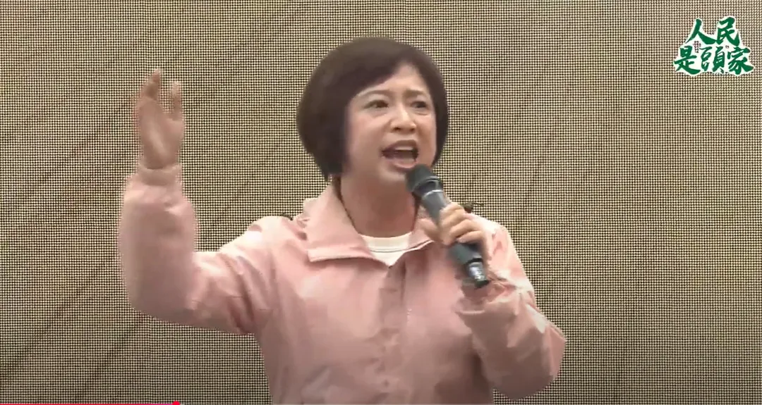 民進黨台中市長候選人預計是立委何欣純。（圖／翻攝自YT）