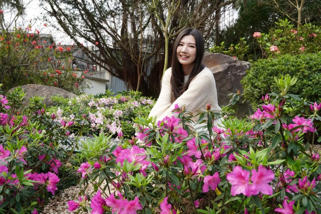 現杜鵑花滿開,新北市農業局邀請民眾至萬里金山賞花。(圖/新北市政府提供)