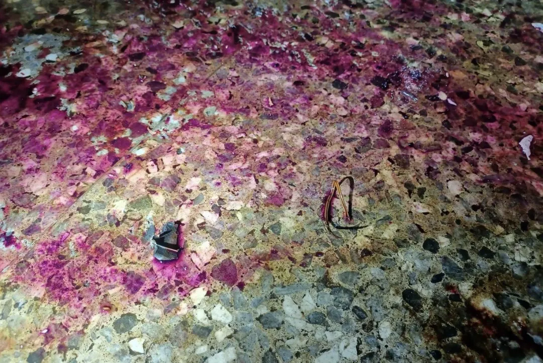 爆炸現場佈滿紅漆警方找到電線與碎片。（圖／翻攝畫面）