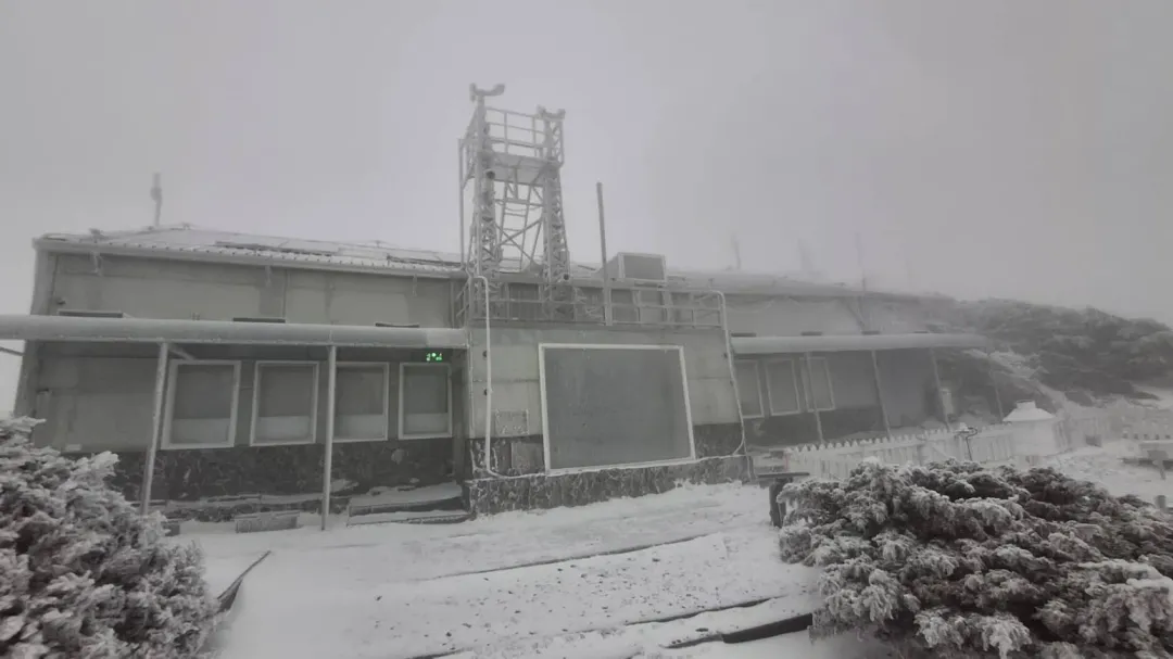 玉山今早降雪。（圖／中央氣象署提供）