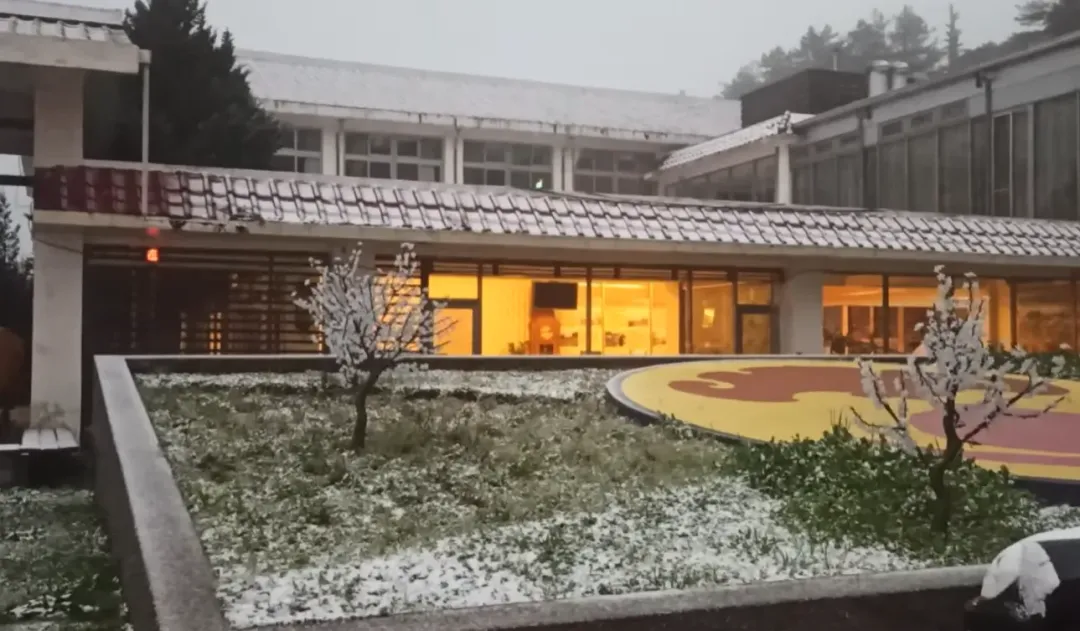 福壽山農場下雪。（圖／翻攝自福壽山農場FushoushanFarm臉書粉專）
