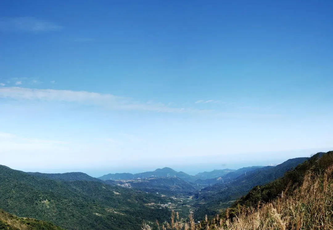 2022年有一名田姓山友跟友人去爬陽明山東西大縱走，在大屯山停車場旁的鞍部看到至少15隻野狗。（圖／翻攝自陽明山國家公園）