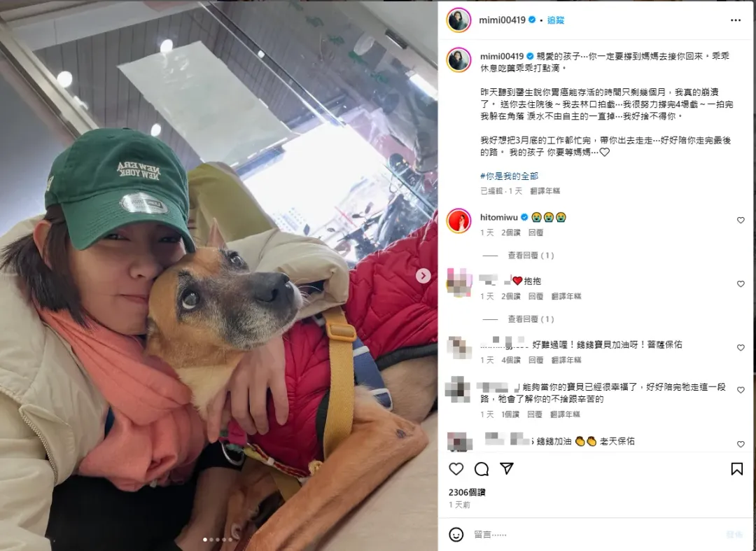 米可白的愛寵「錢錢」罹患胃癌。（圖／翻攝自米可白 IG）