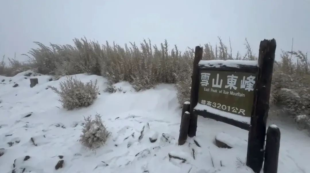 雪霸國家公園積雪深厚。（圖／雪管處提供）