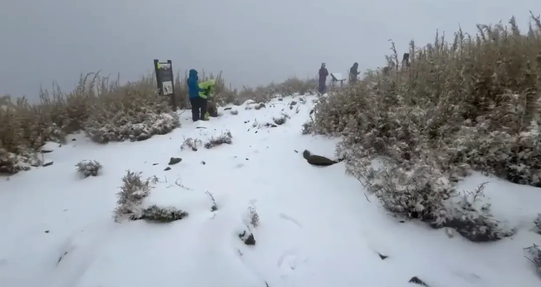 一名菲律賓籍30多歲男山友攀登至雪山線10.7公里處，不慎滑落約50公尺山谷。（圖／雪管處提供）