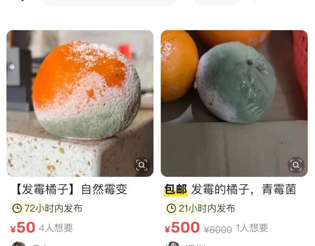 近日,「發霉橘子」成為大陸二手交易平台新寵。(圖/翻攝自微博)
