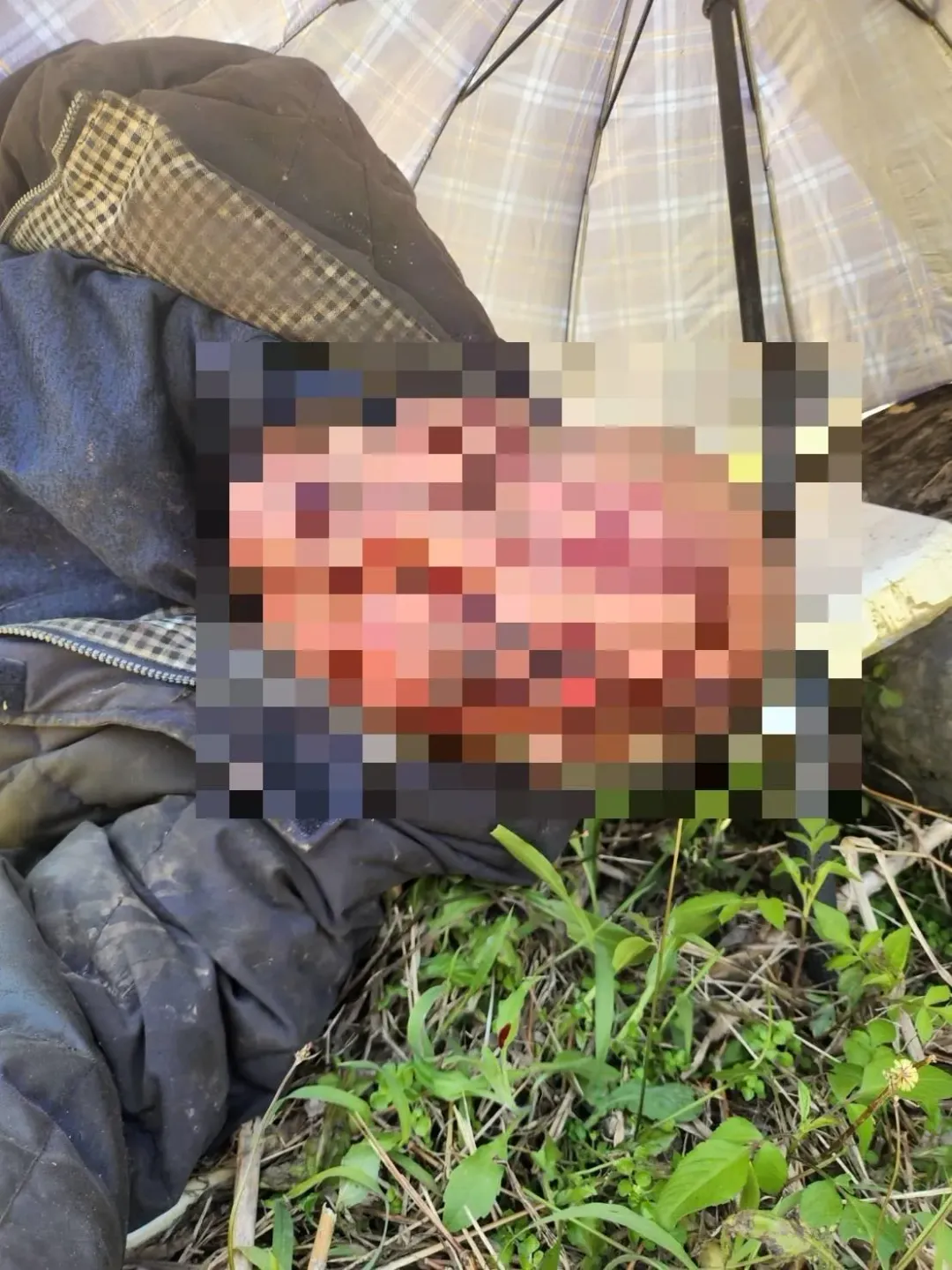 花蓮縣大同大禮道路於今(22)日上午,一名怪手機男駕駛挖掘道路時,機台不明原因墜落約80公尺邊坡。(圖/翻攝畫面)