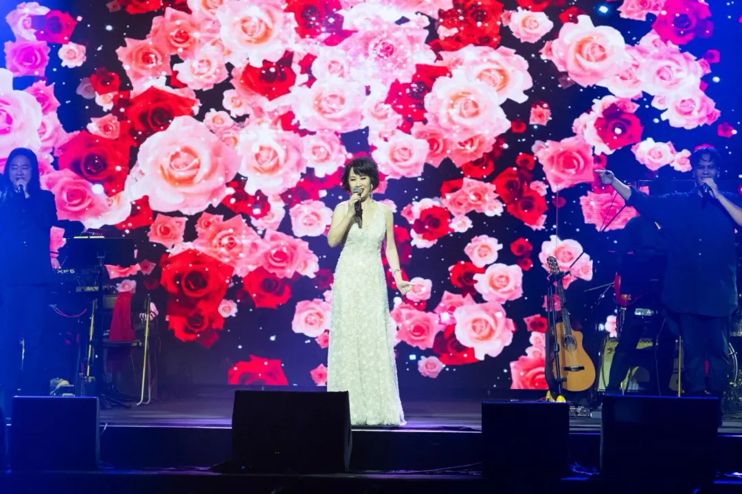 林淑容經典金曲讓台下粉絲沉醉其中。（圖／媒體棧提供）